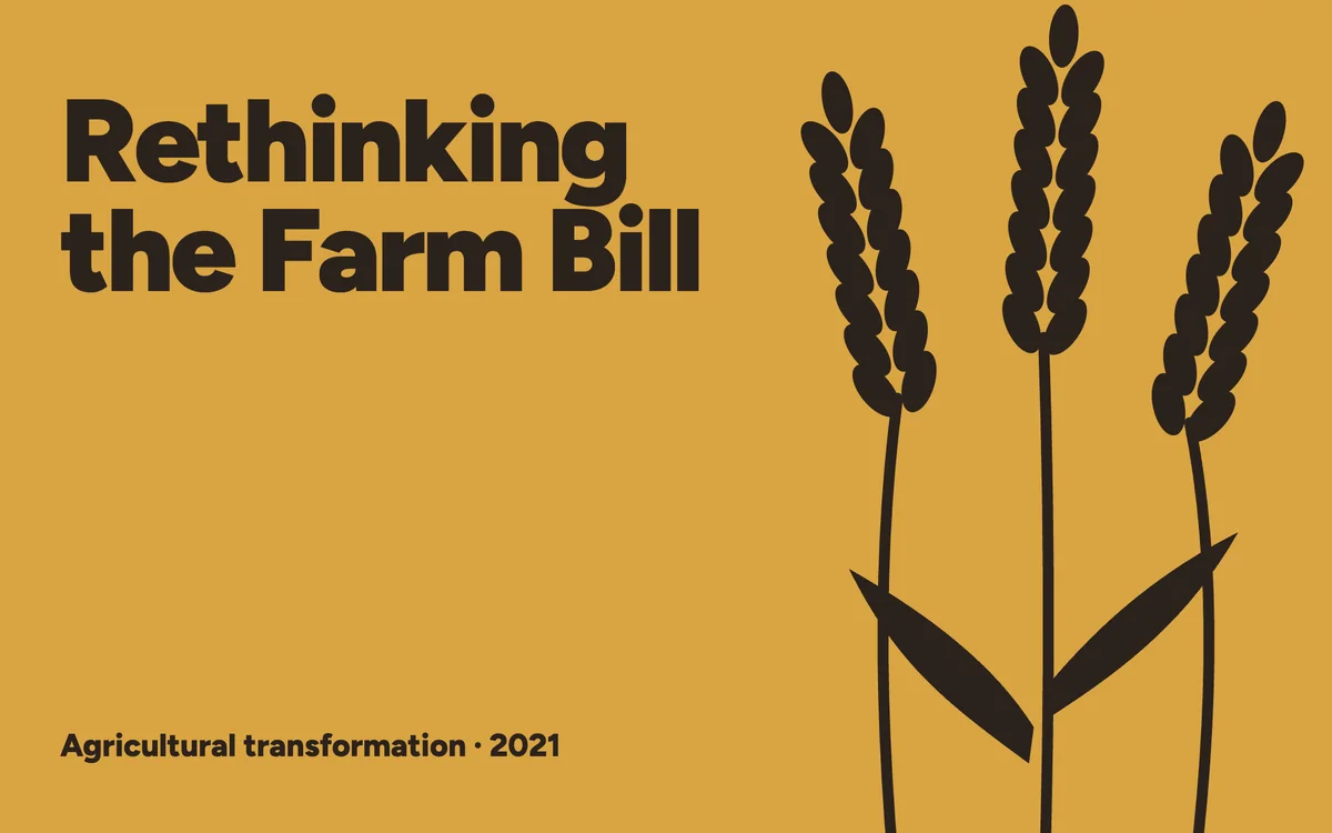 Rethinking the farm bill — Cognizance · IIT Roorkee — case study deck, cover page